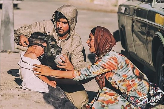 درخت گردو